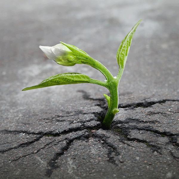 Akupunktura Będzin – Naturalna Terapia 