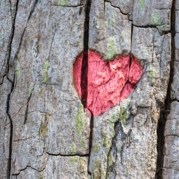 Wpływ zachwianej energii rodziców na dziecko